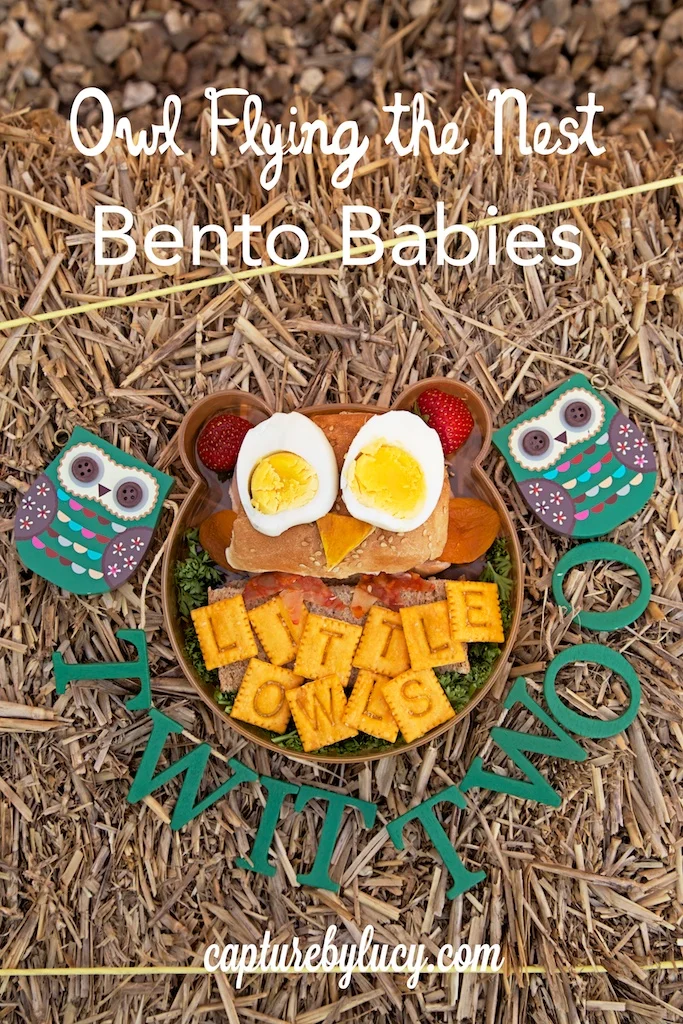 owl bento babies.jpg