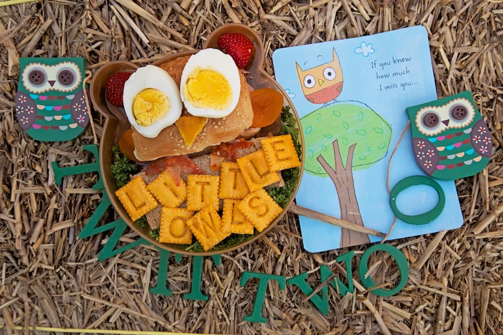 owl bento babies.jpg