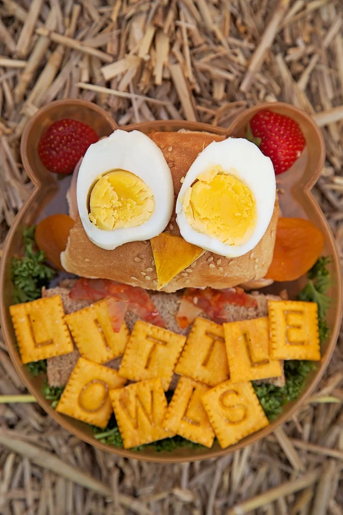 owl bento babies.jpg