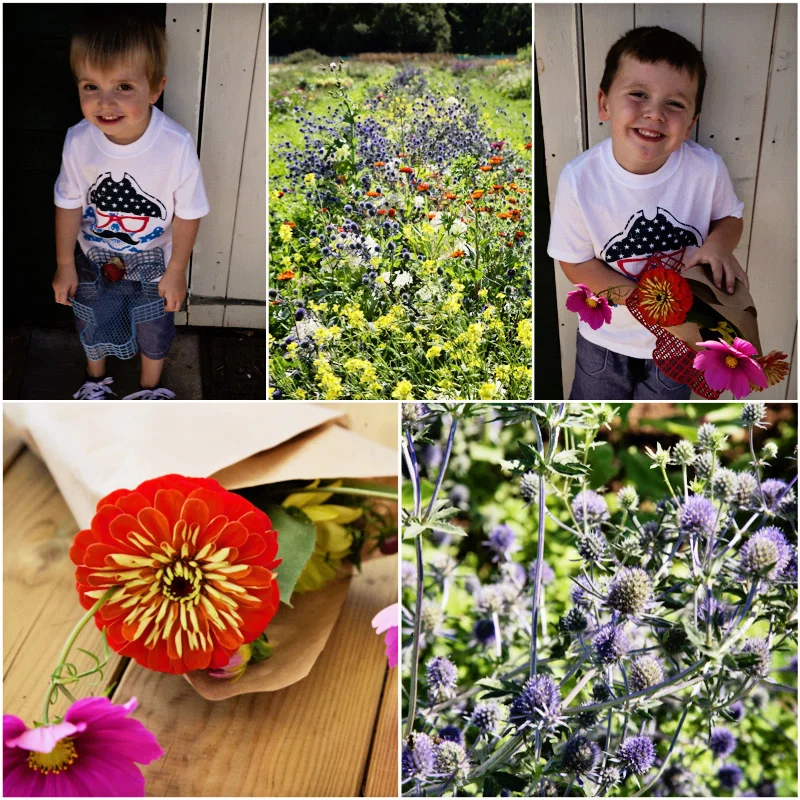 Somerset Flower Farm.jpg