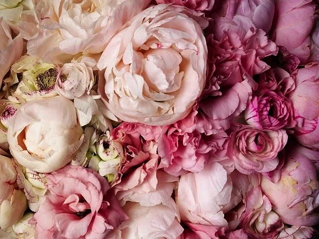 Wonderful Wedding Wednesday • My Fantasy Wedding