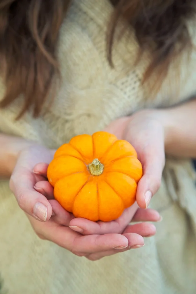 pumpkin soup.jpg
