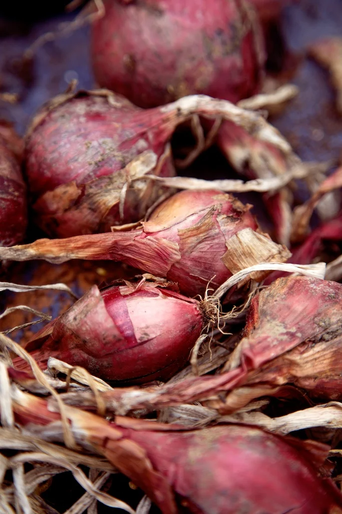 red onions.jpg