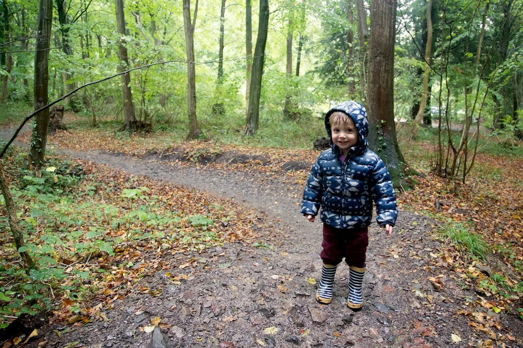 Ollie in the woods.jpg