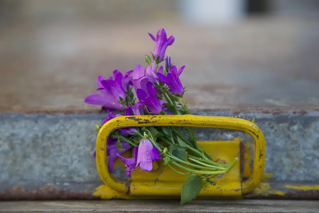 rustic baking tray.jpg