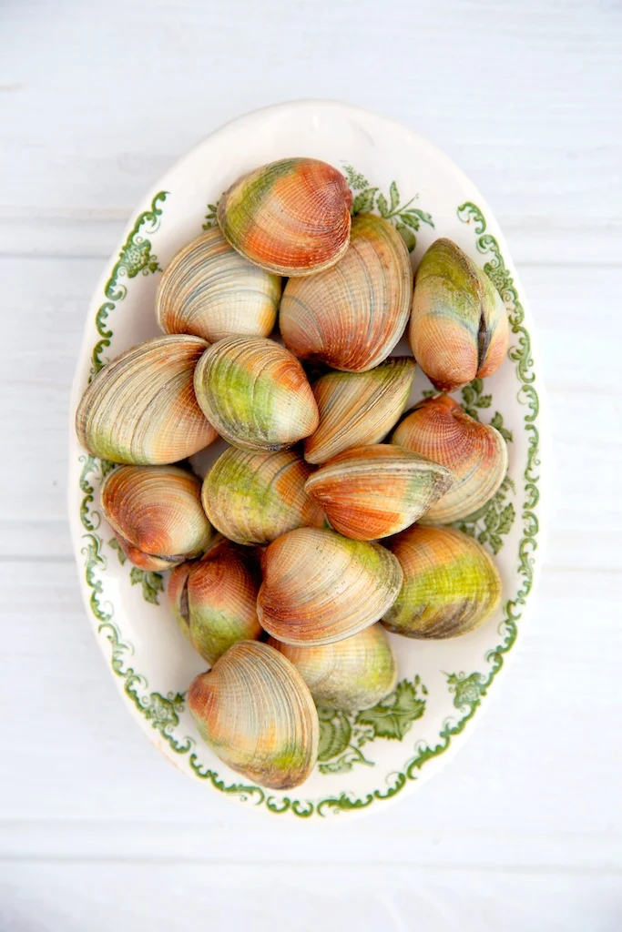 clams.jpg