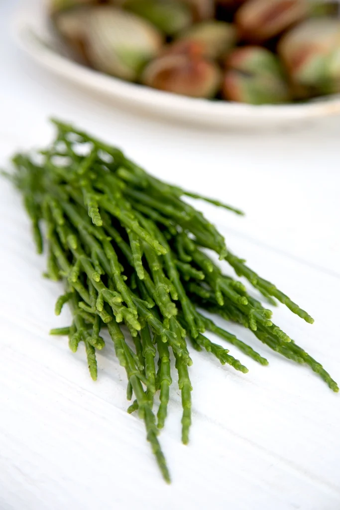 samphire.jpg