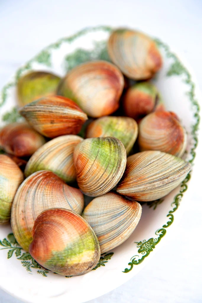 clams.jpg