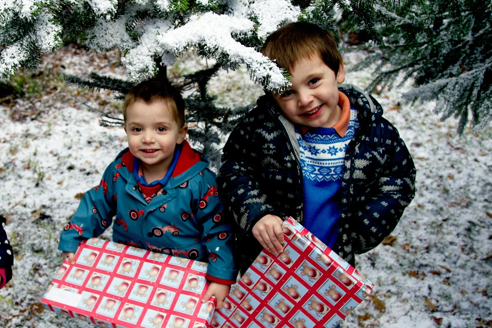 longleat at christmas.jpg