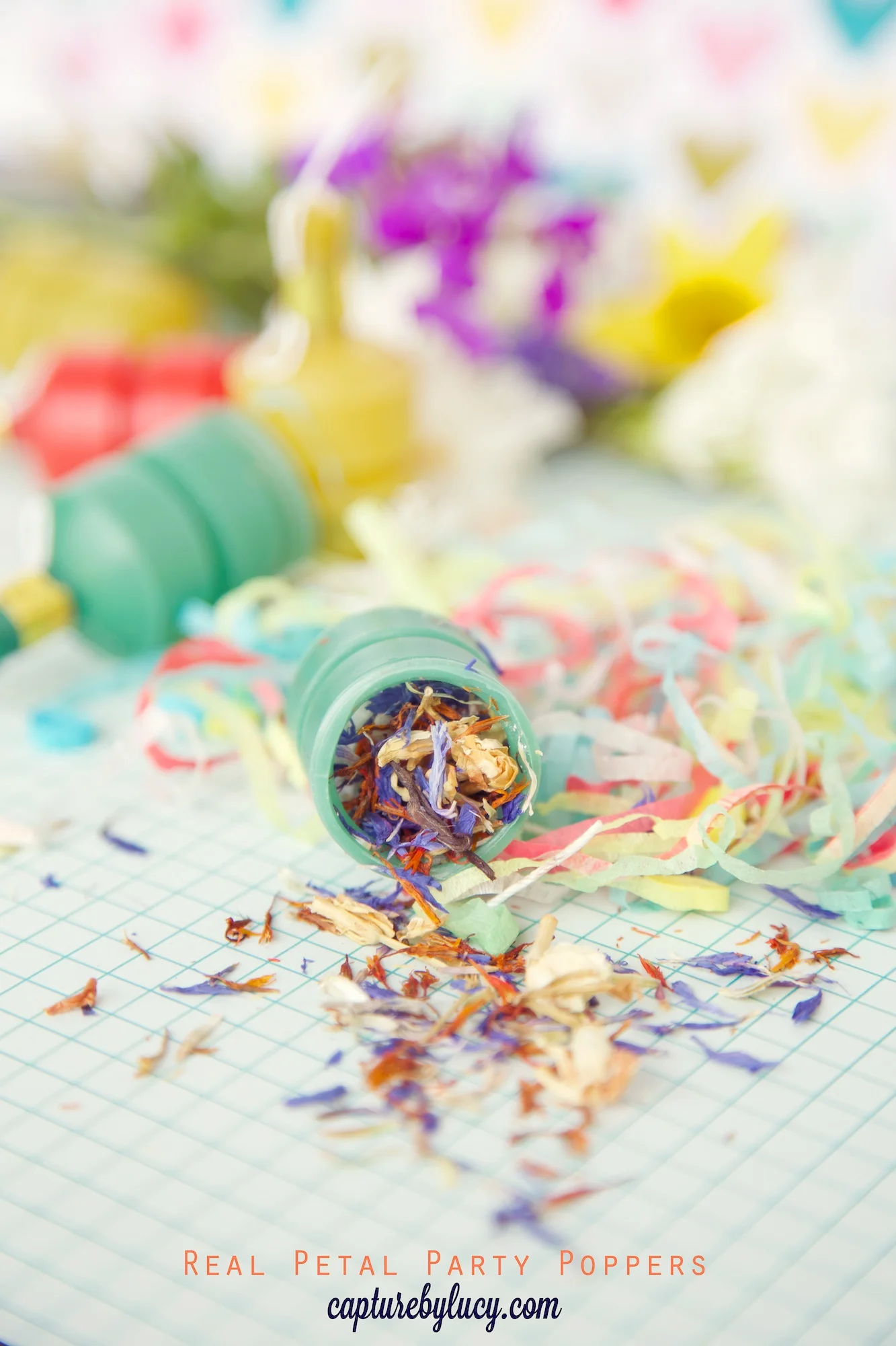 Real Petal Party Confetti Poppers • Capture by Lucy