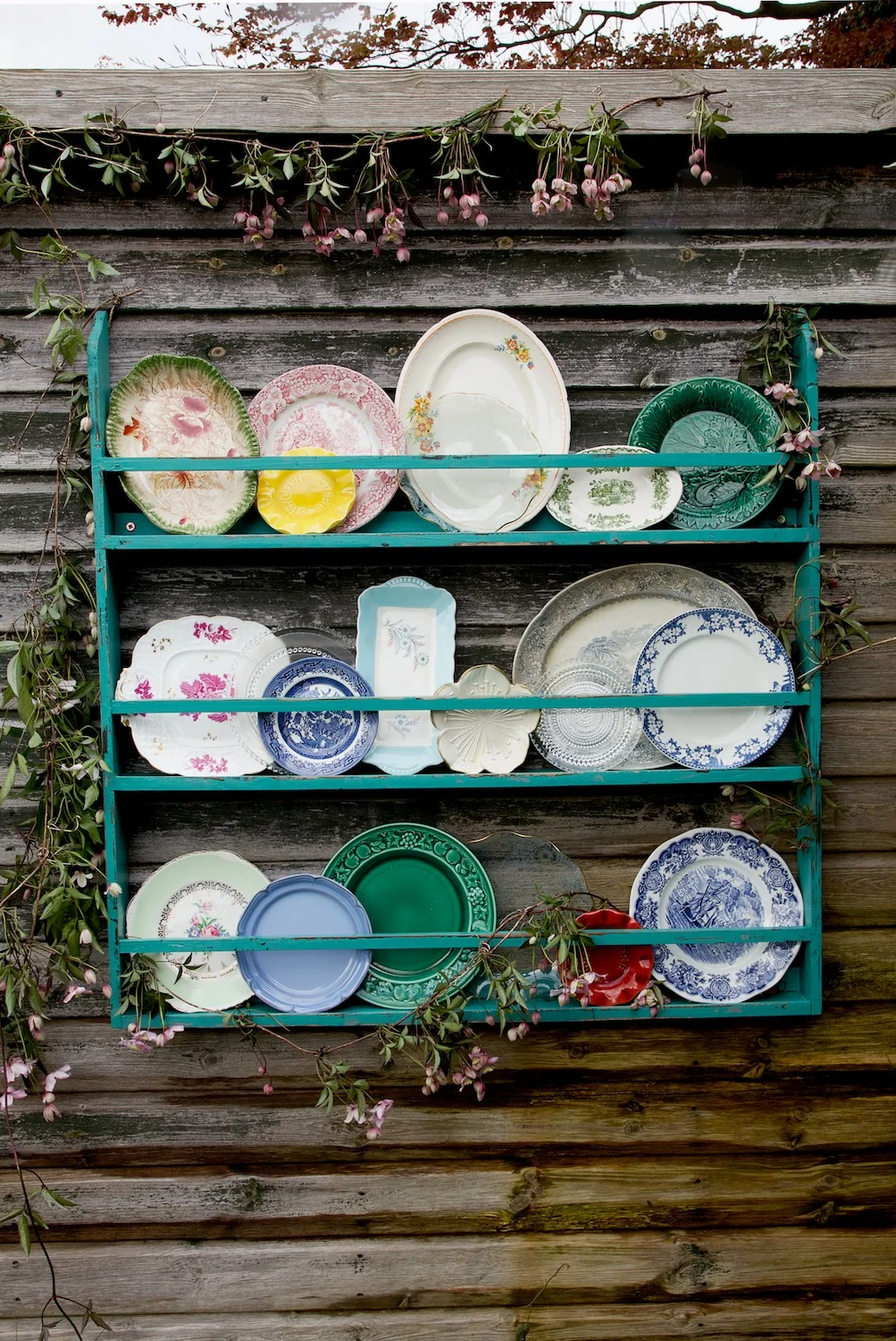 plate rack.jpg