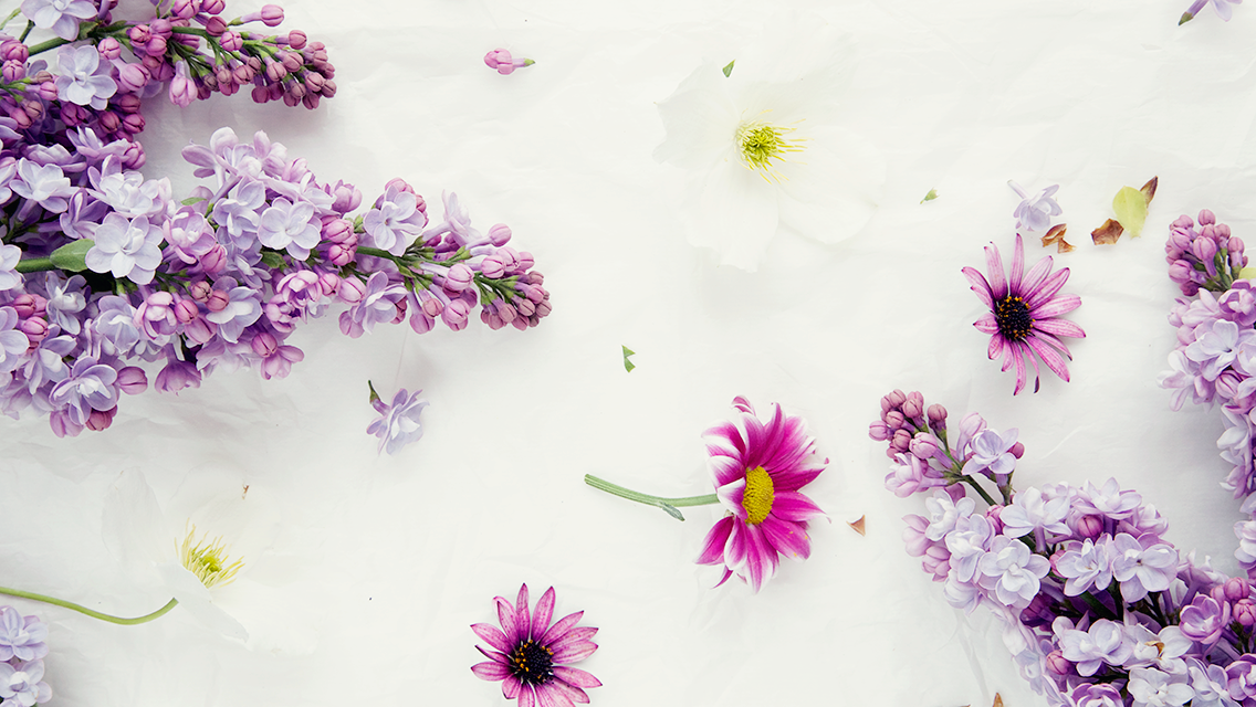 Free Floral Phone Wallpapers • Spring Collection • BiBs 2014