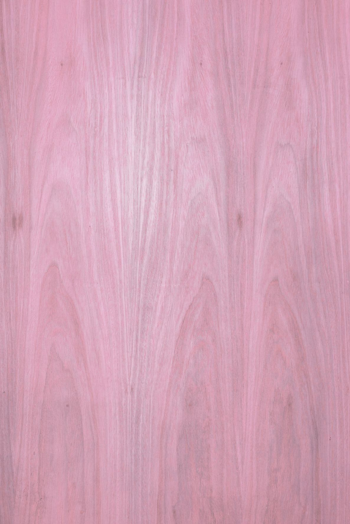 Cherry Blossom Wood.png
