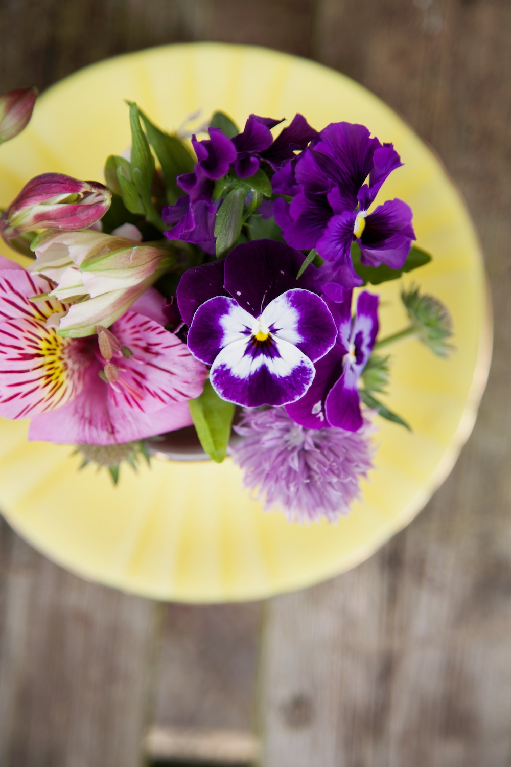 Somerset Flower Farm • dream photography job • Capture by Lucy