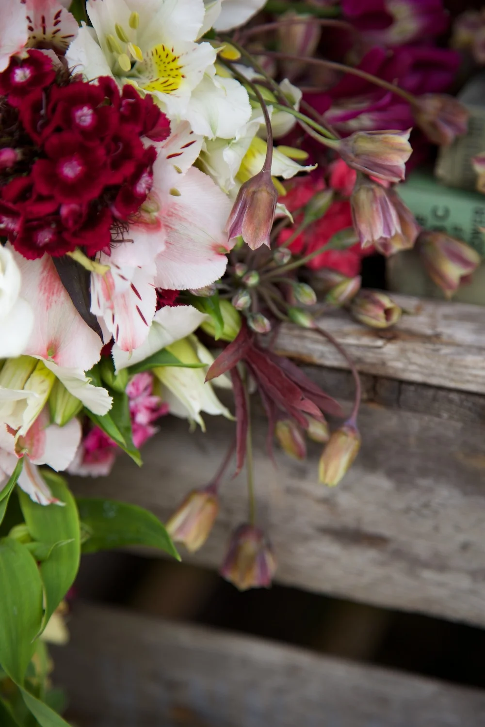 Somerset Flower Farm • dream photography job • Capture by Lucy