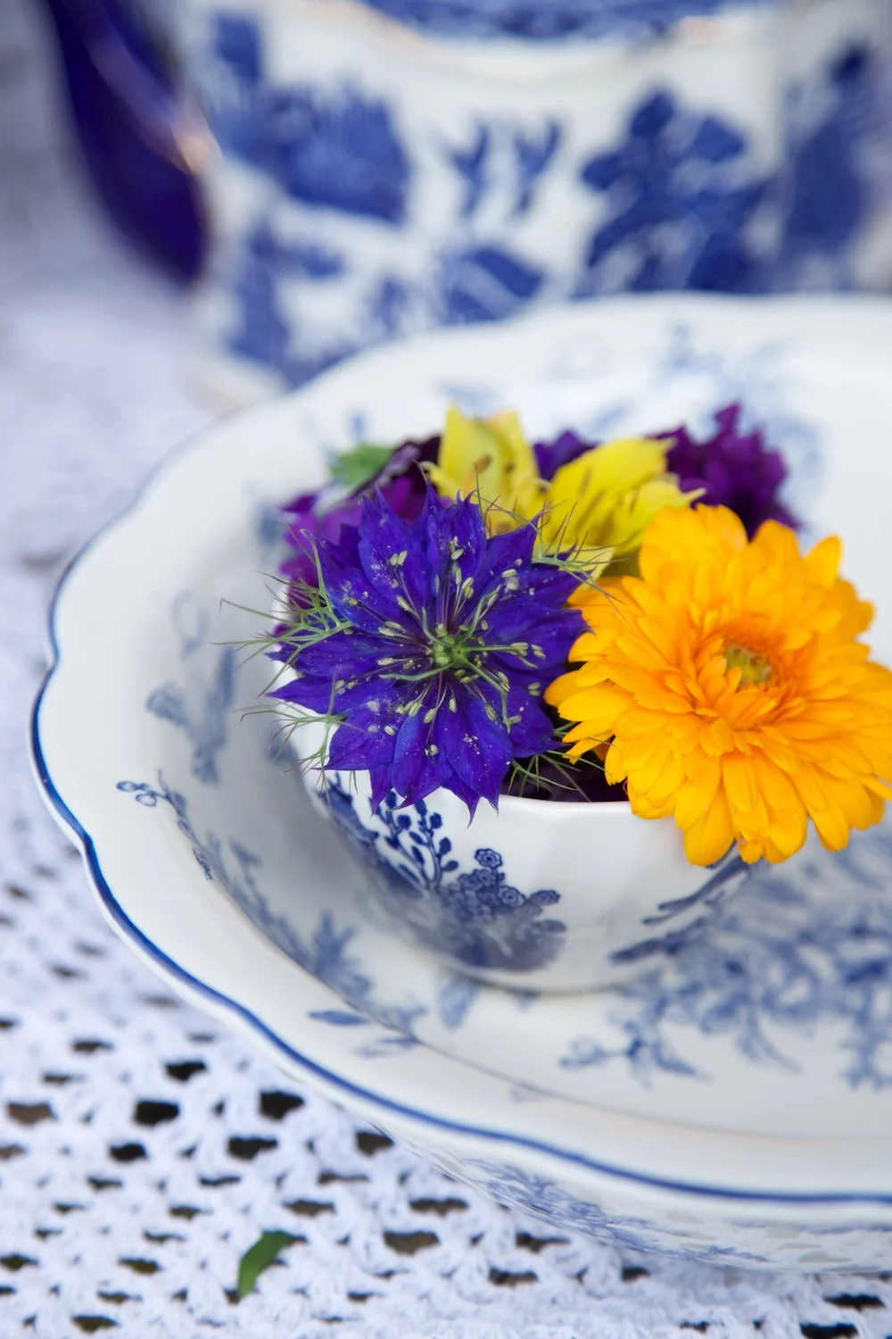 Somerset Flower Farm • dream photography job • Capture by Lucy
