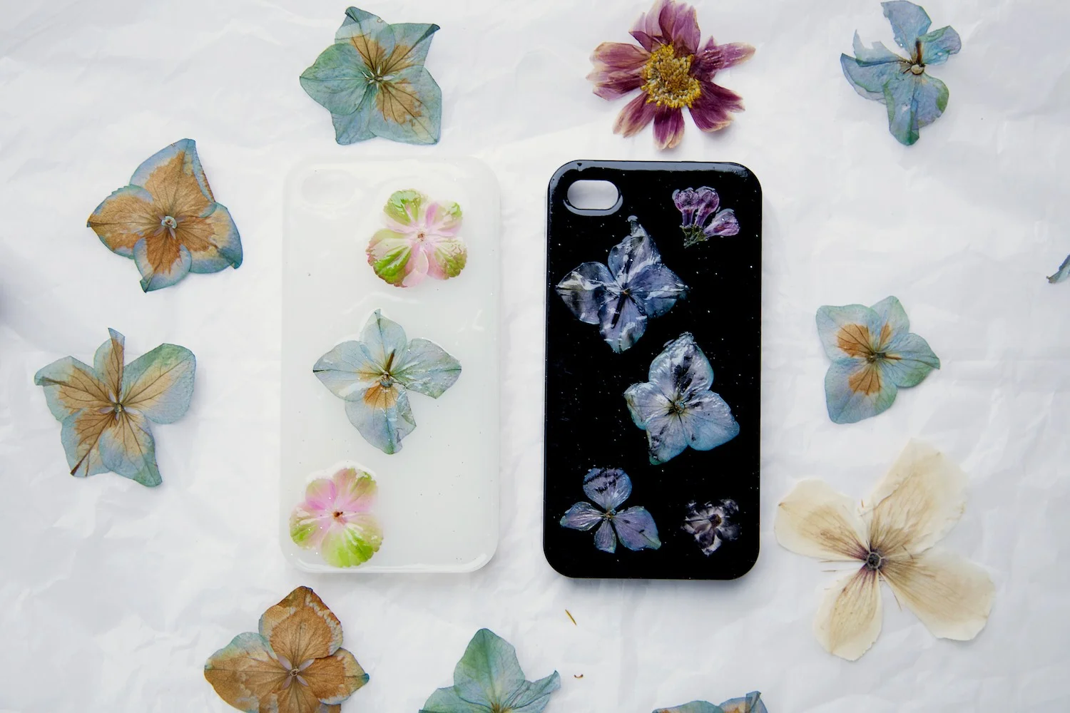 Pressed Flower Phone Case • DIY