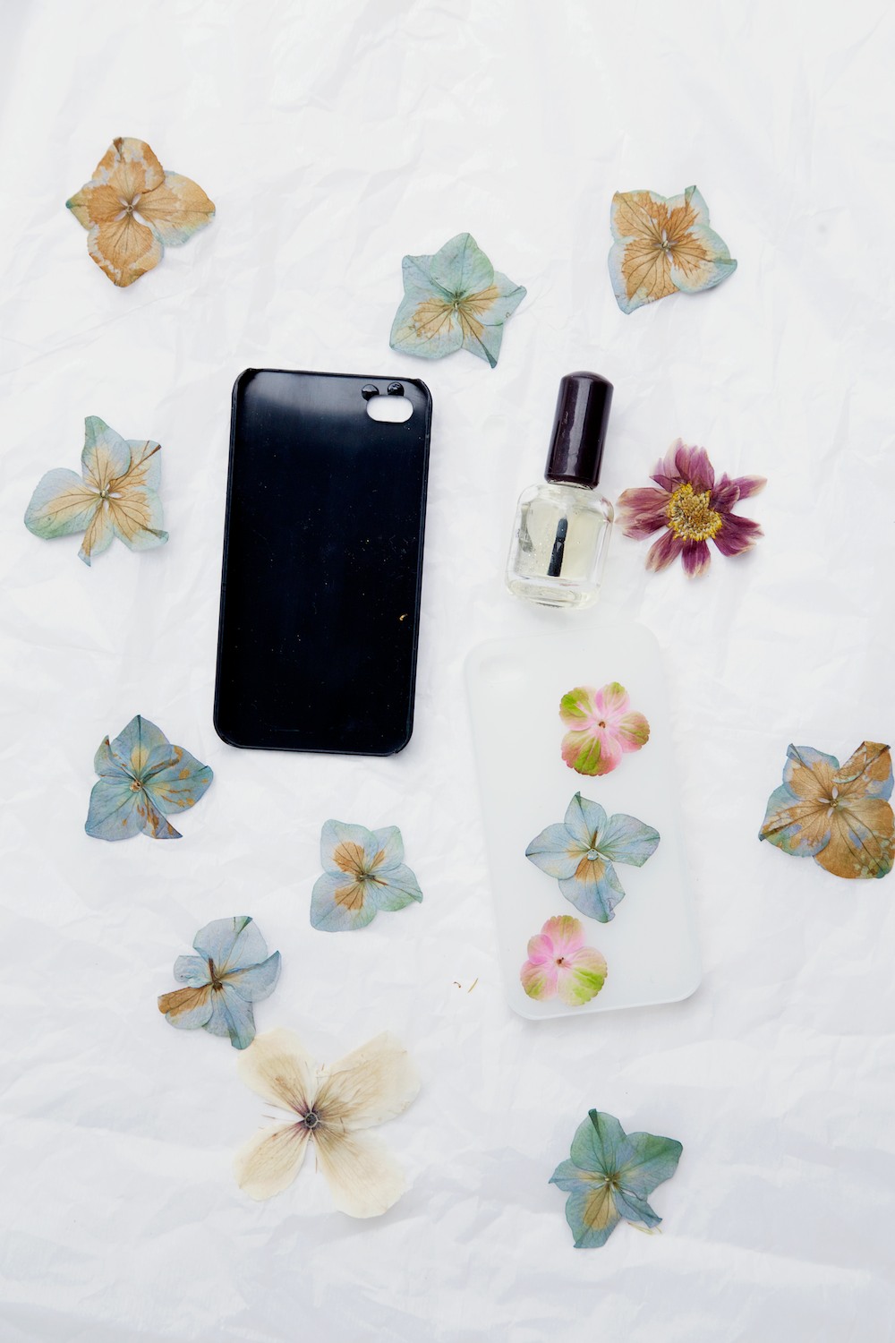 Details about   Real Pressed Dried Flower Floral for DIY Phone Case Card Making Nail Arts 
