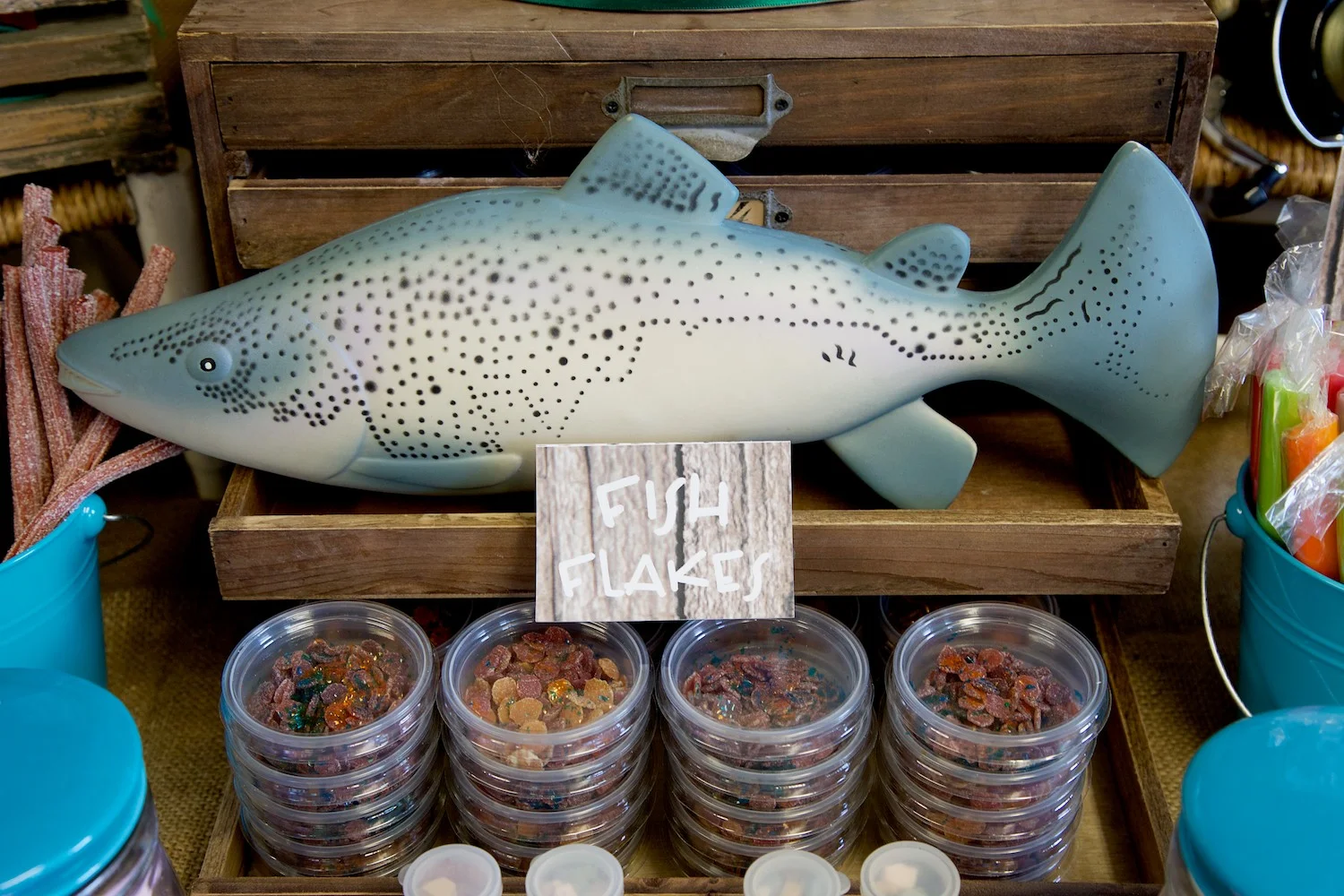 Fishing Birthday Party • Sammy's 5th Birthday • Capture by Lucy