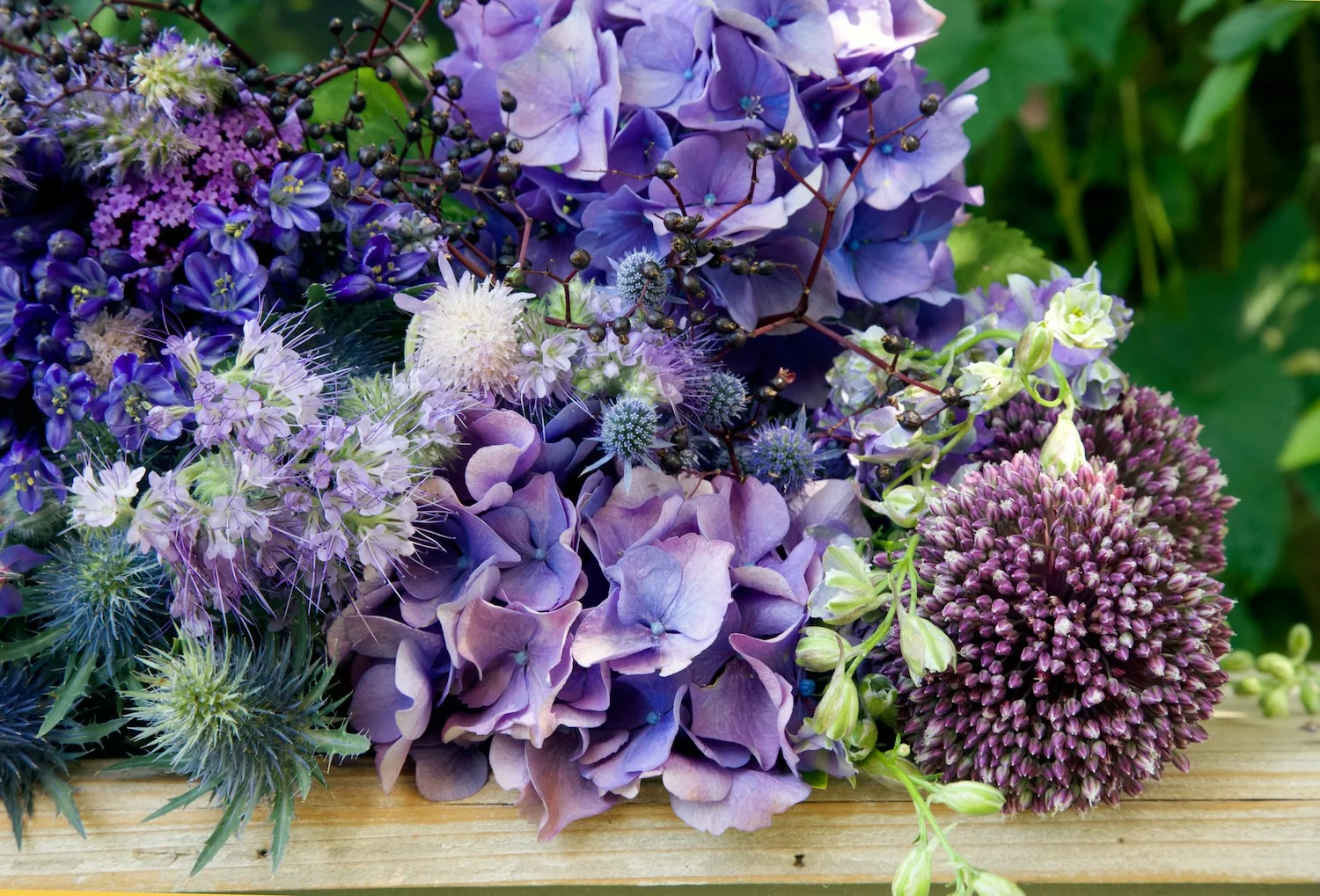 Araminta Flowers Part 2