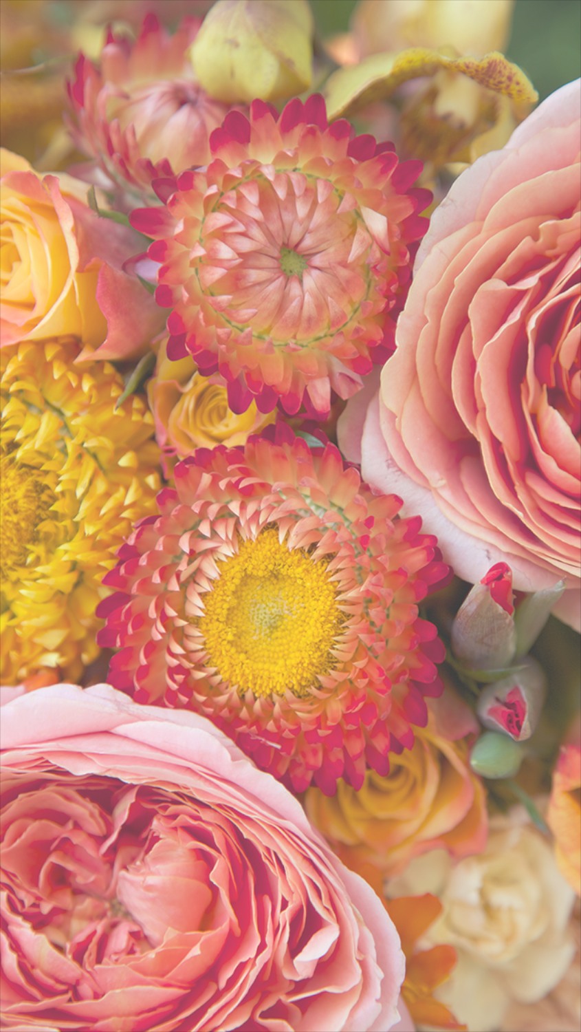 Free Floral Phone Wallpapers • Summer Collection • Photo Backdrops UK from  Capture by Lucy