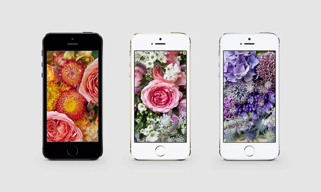 Free Floral Phone Wallpapers • Summer Collection 