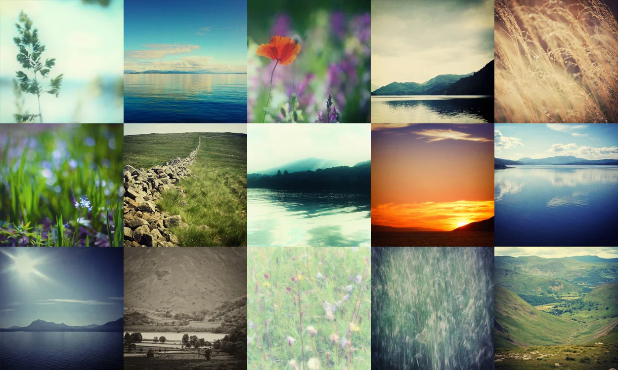 Online Photography Course • Ace giveaway