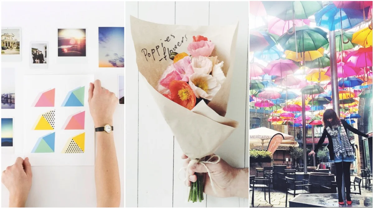 Who to follow on Instagram #1