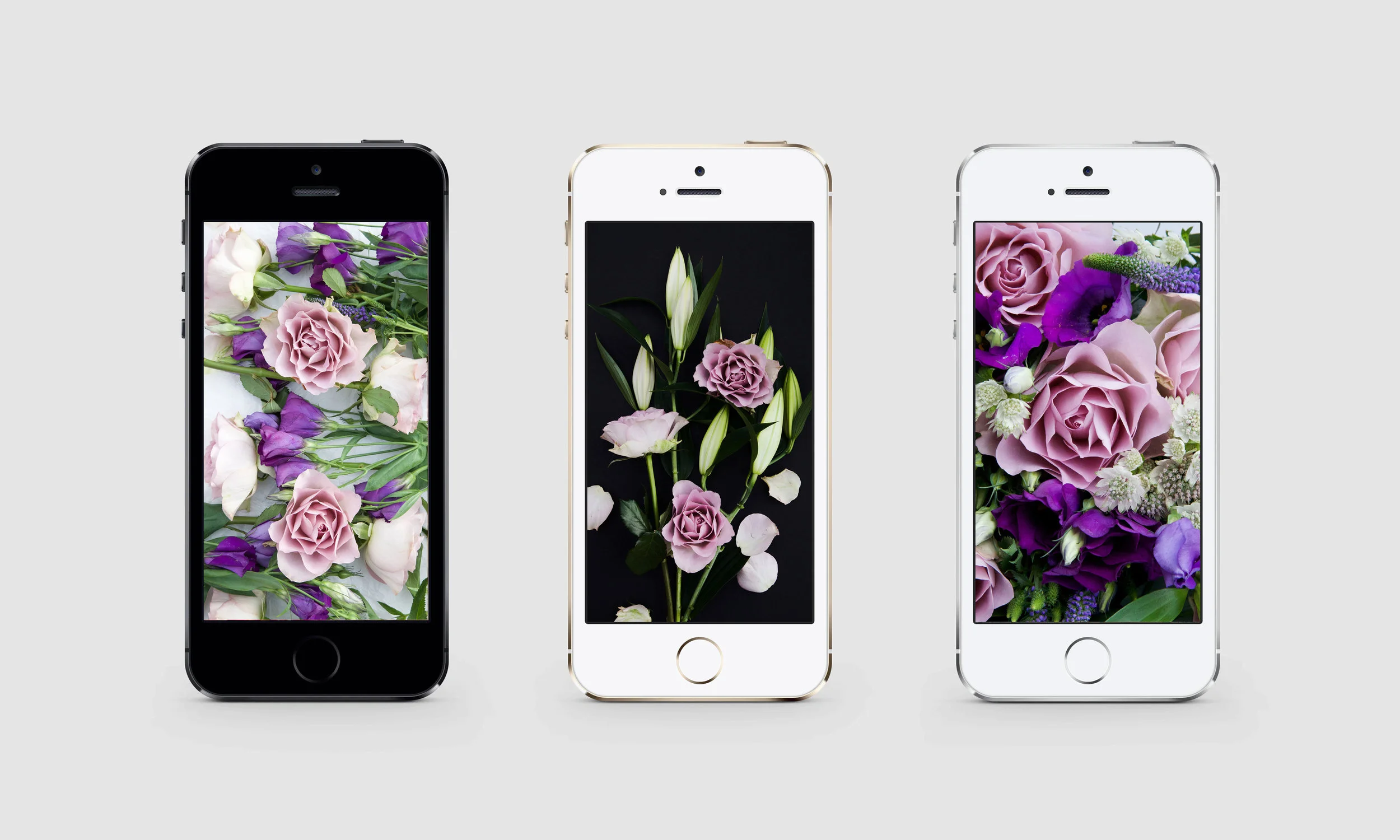 Mother's Day Flowers and Free Phone Wallpapers featuring Debenhams