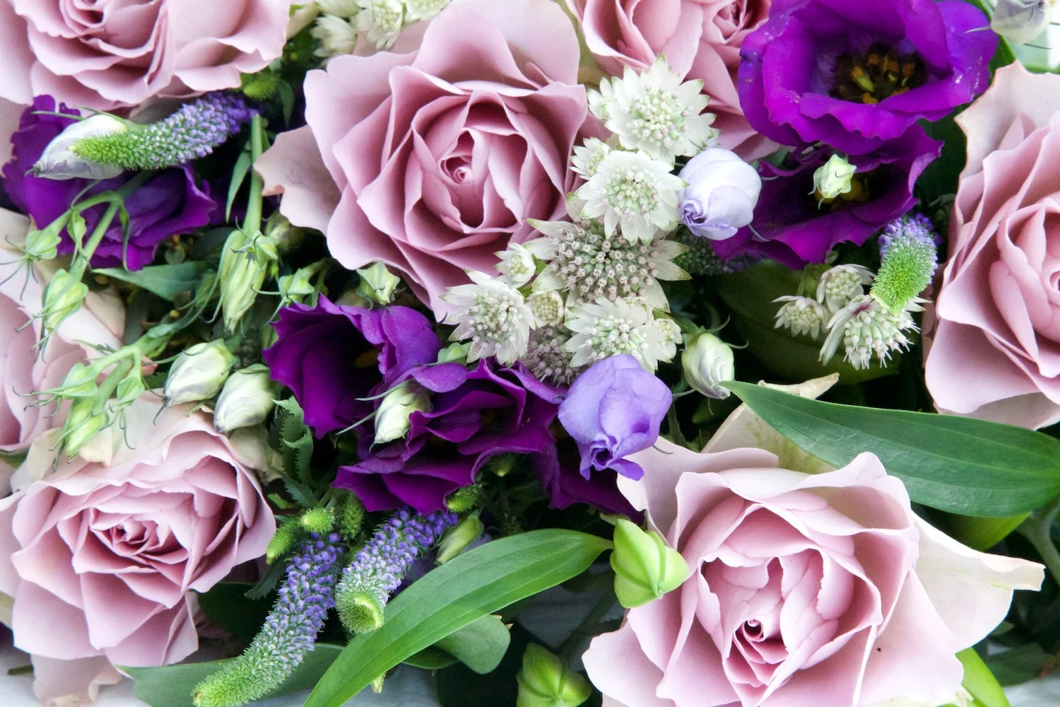 Mother's Day Flowers and Free Phone Wallpapers featuring Debenhams