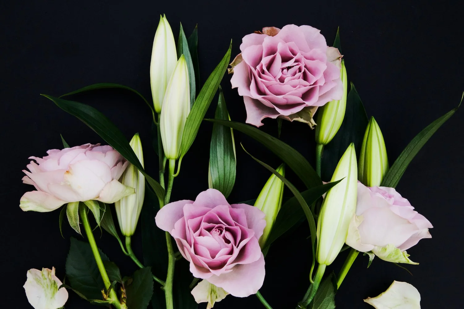 Floral Wallpaper.jpg