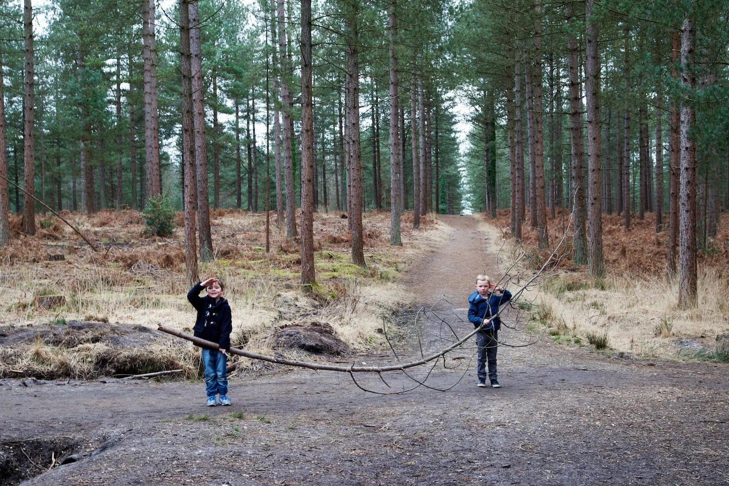 moors valley country park.jpg