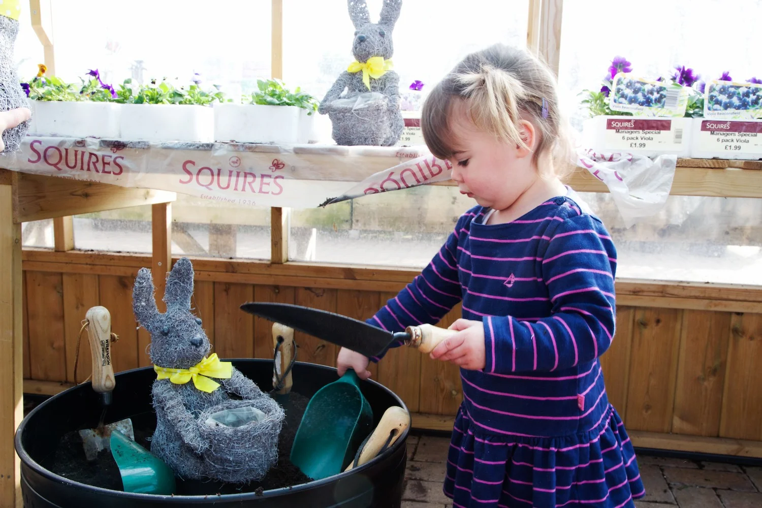 Create and Grow with Squire's Garden Centre