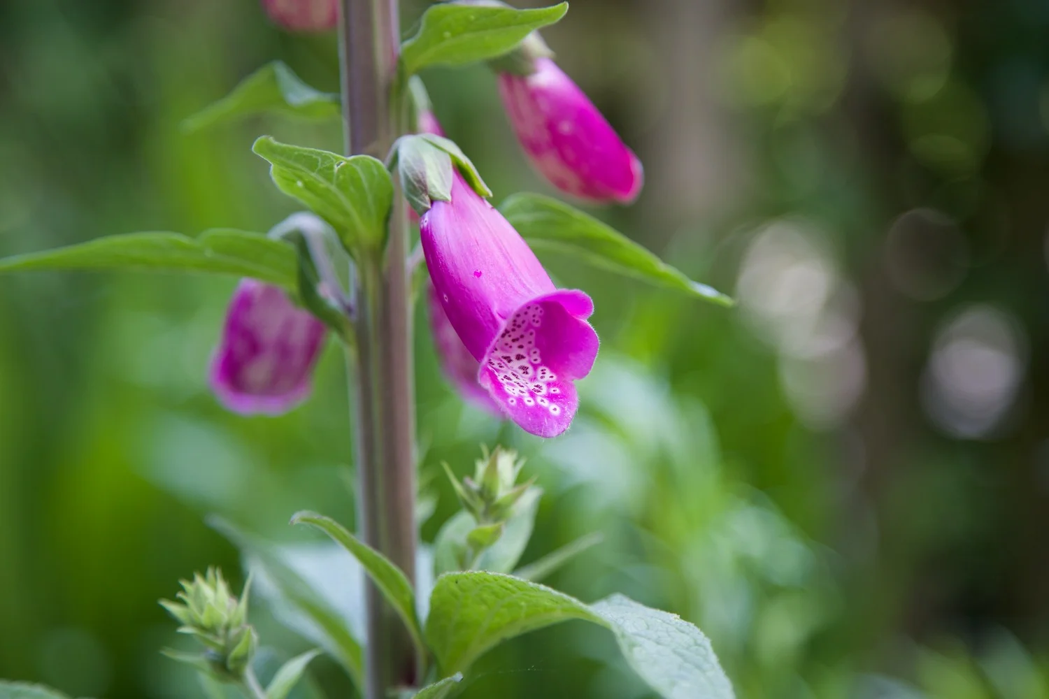 Fragile • Doing it all and achieving nothing at all