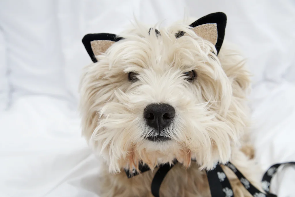 Me and Mine - A Family Portrait Project October