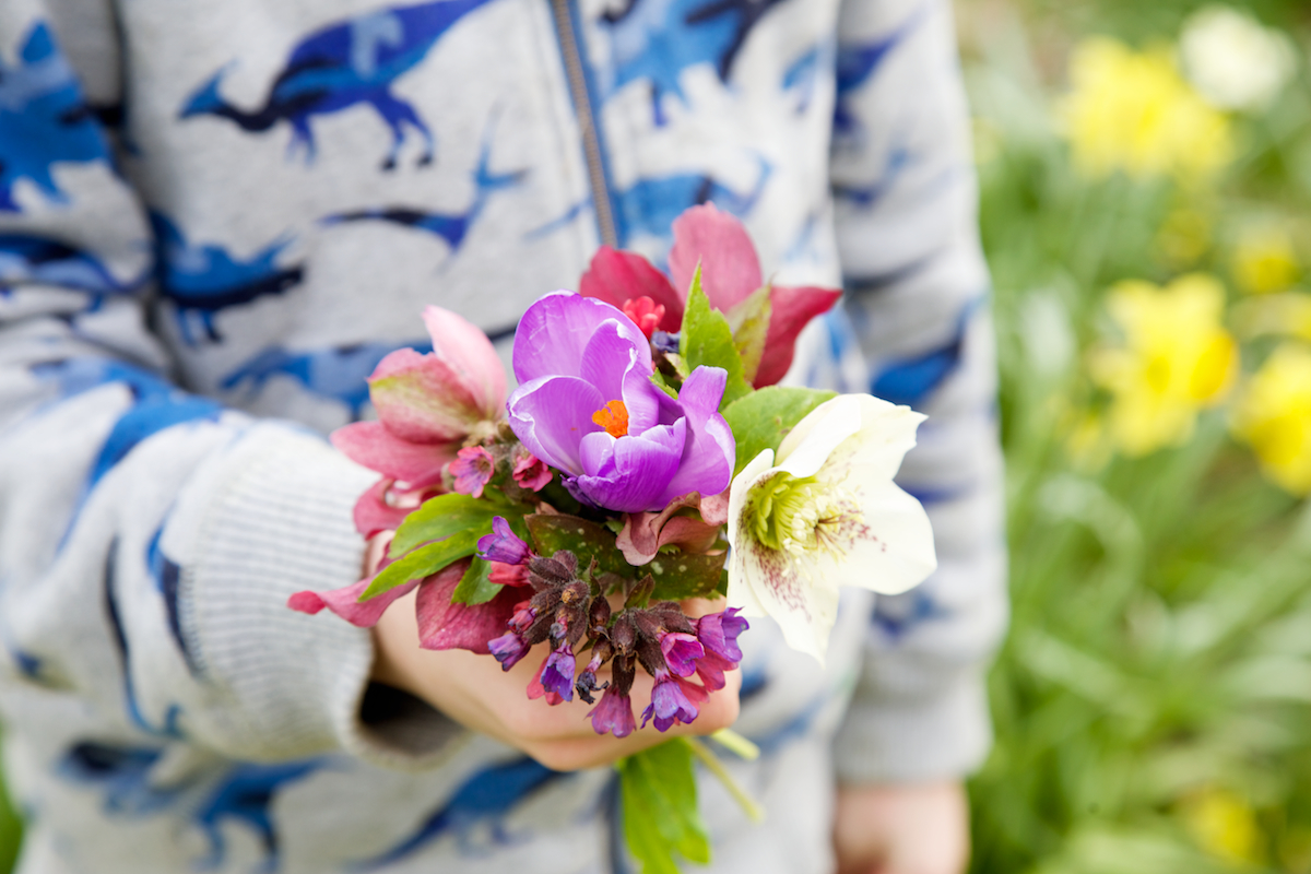 Creating a Cut-Flower Patch