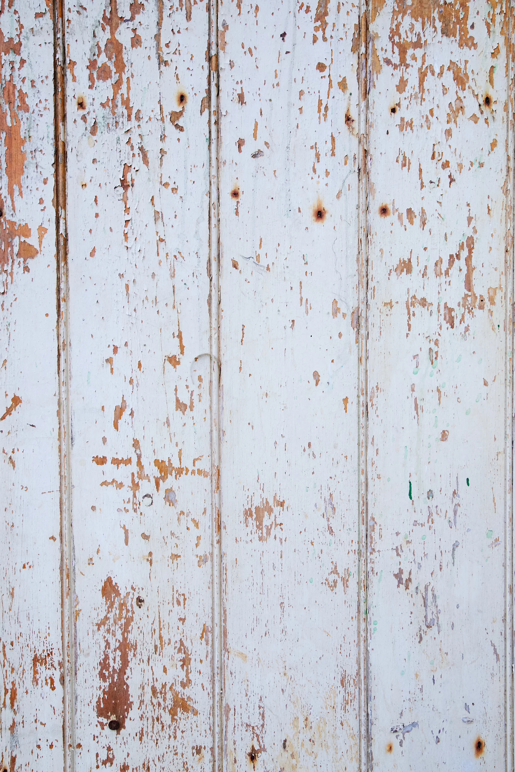 Peeling Door Backdrop 1.jpg