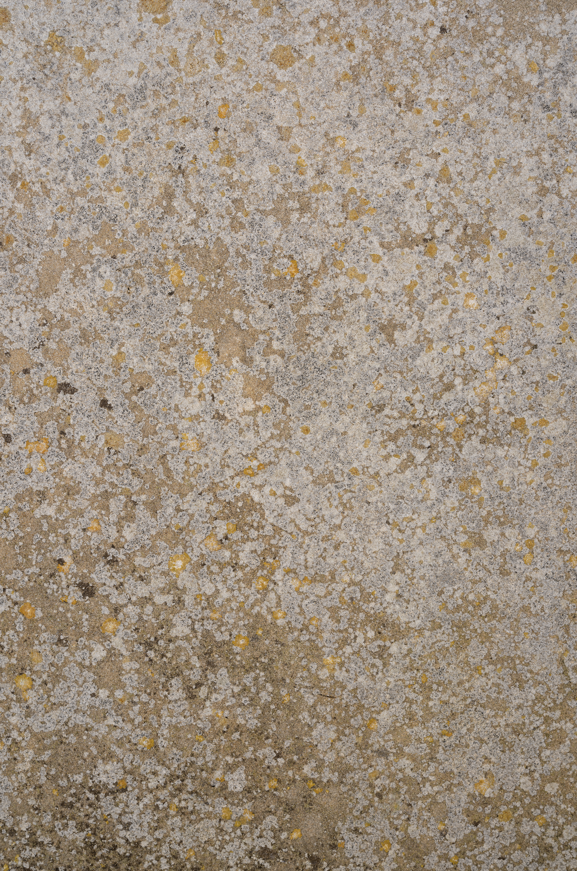 Gold stone backdrop.png