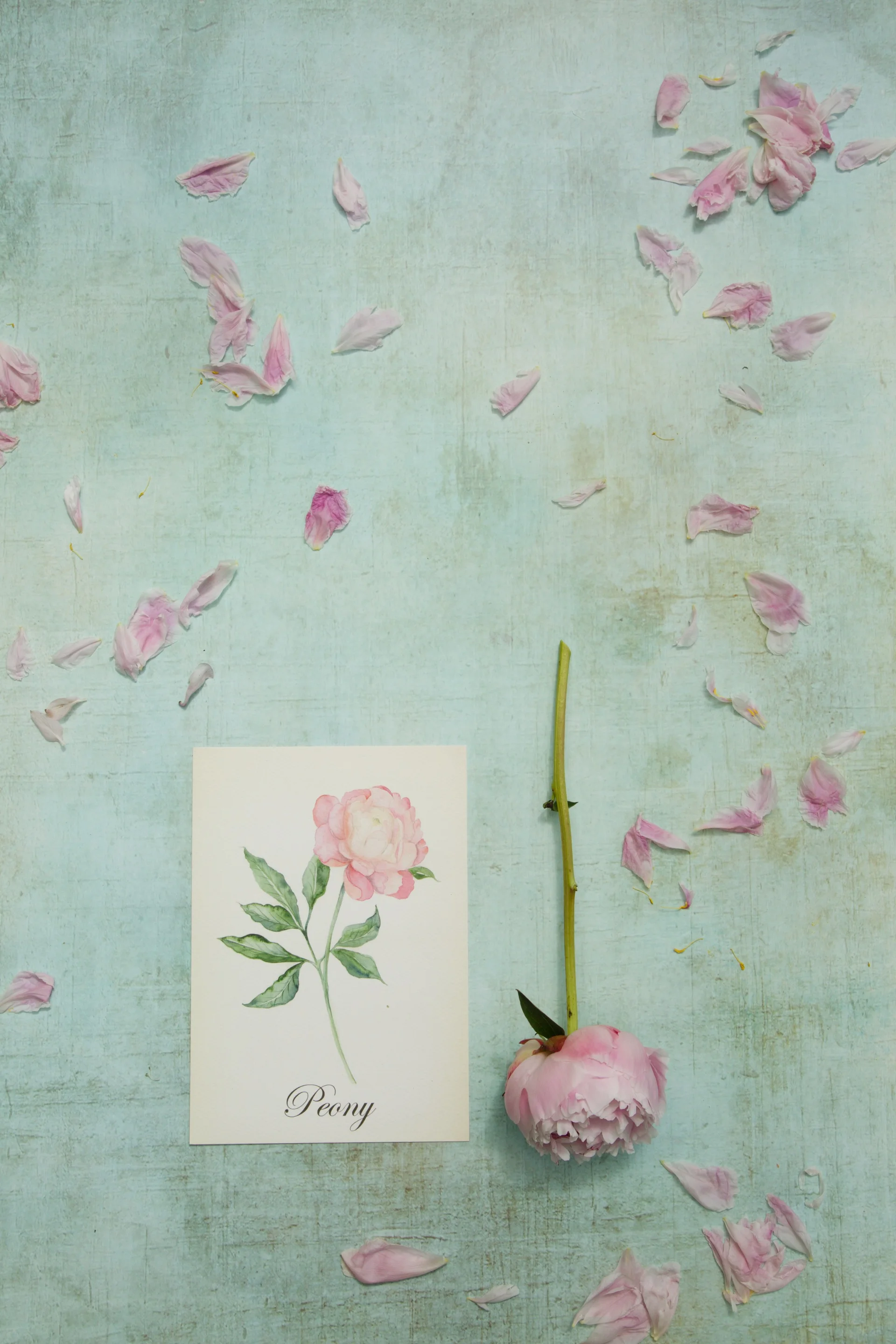 Green Photo Backdrop UK Mermaid 1.jpg