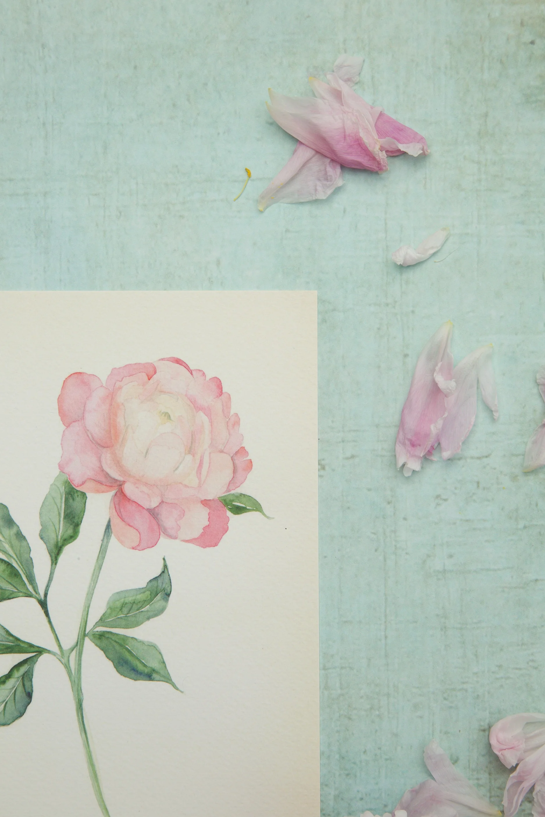 Vinyl backdrop, mermaid backdrop, texture backdrop, styling backdrop, food photography, green backdrop
