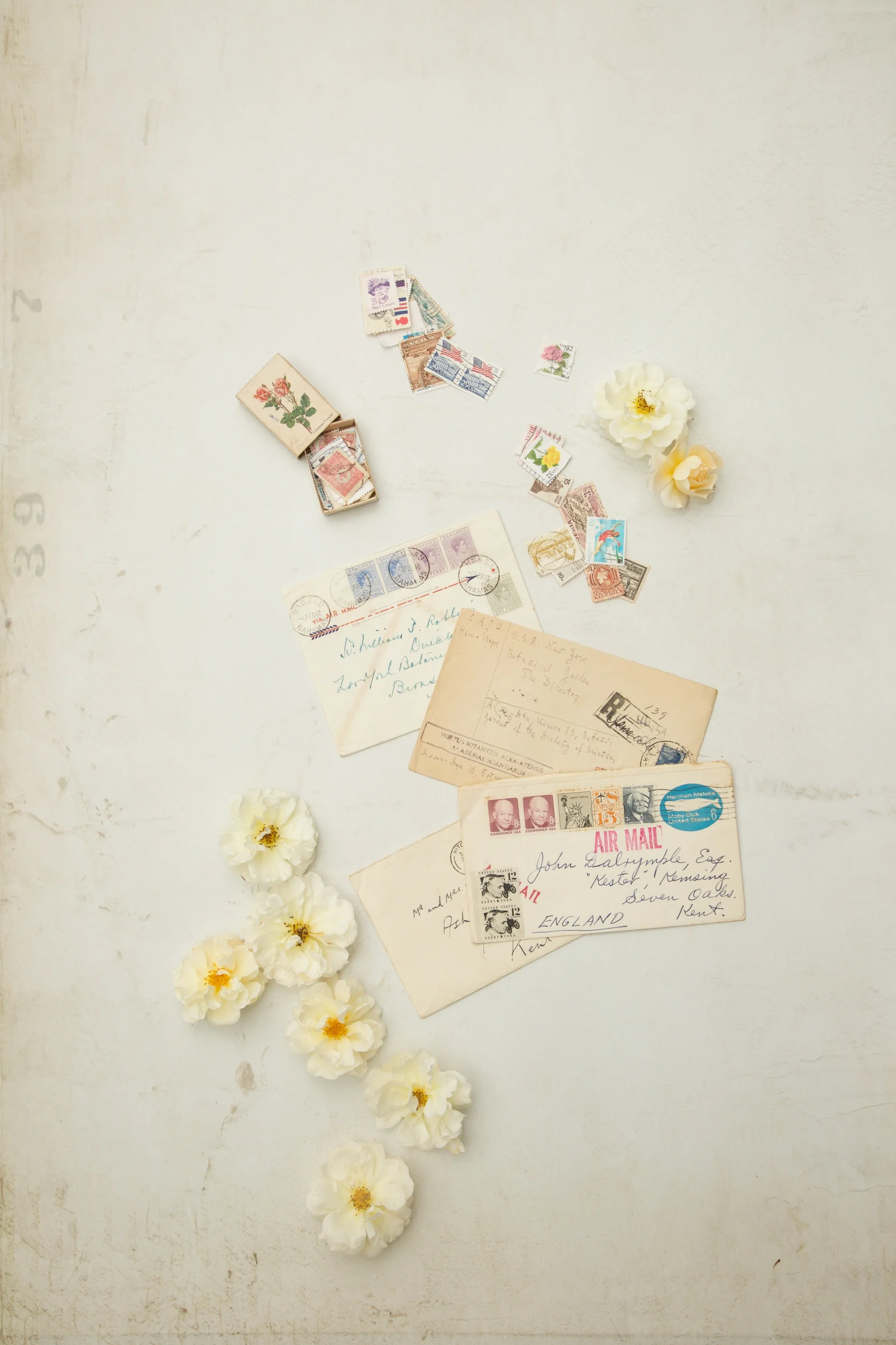 Parchment Photo Backdrop UK 1.jpg