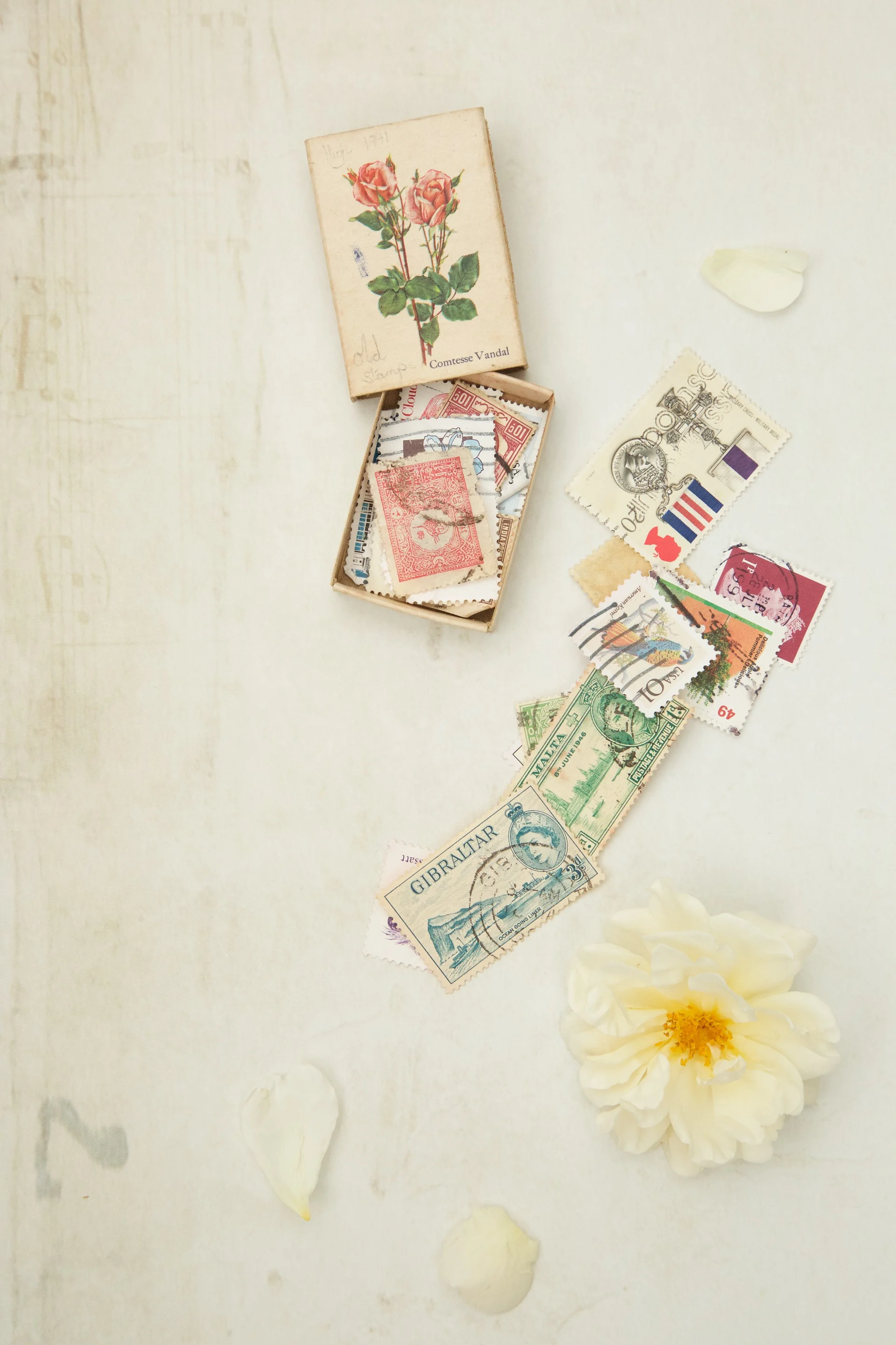 Parchment Photo Backdrop UK 2.jpg