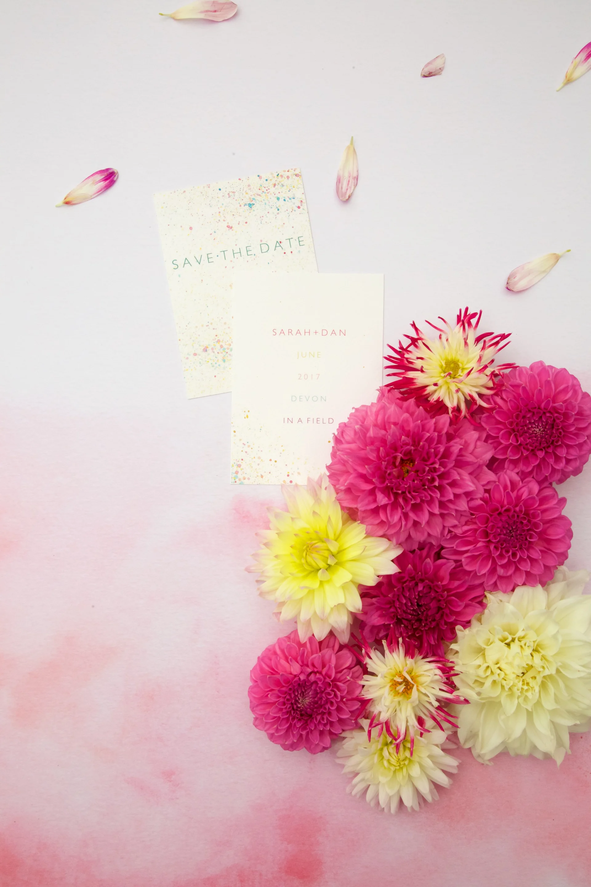 ombre backdrop uk 1.jpg