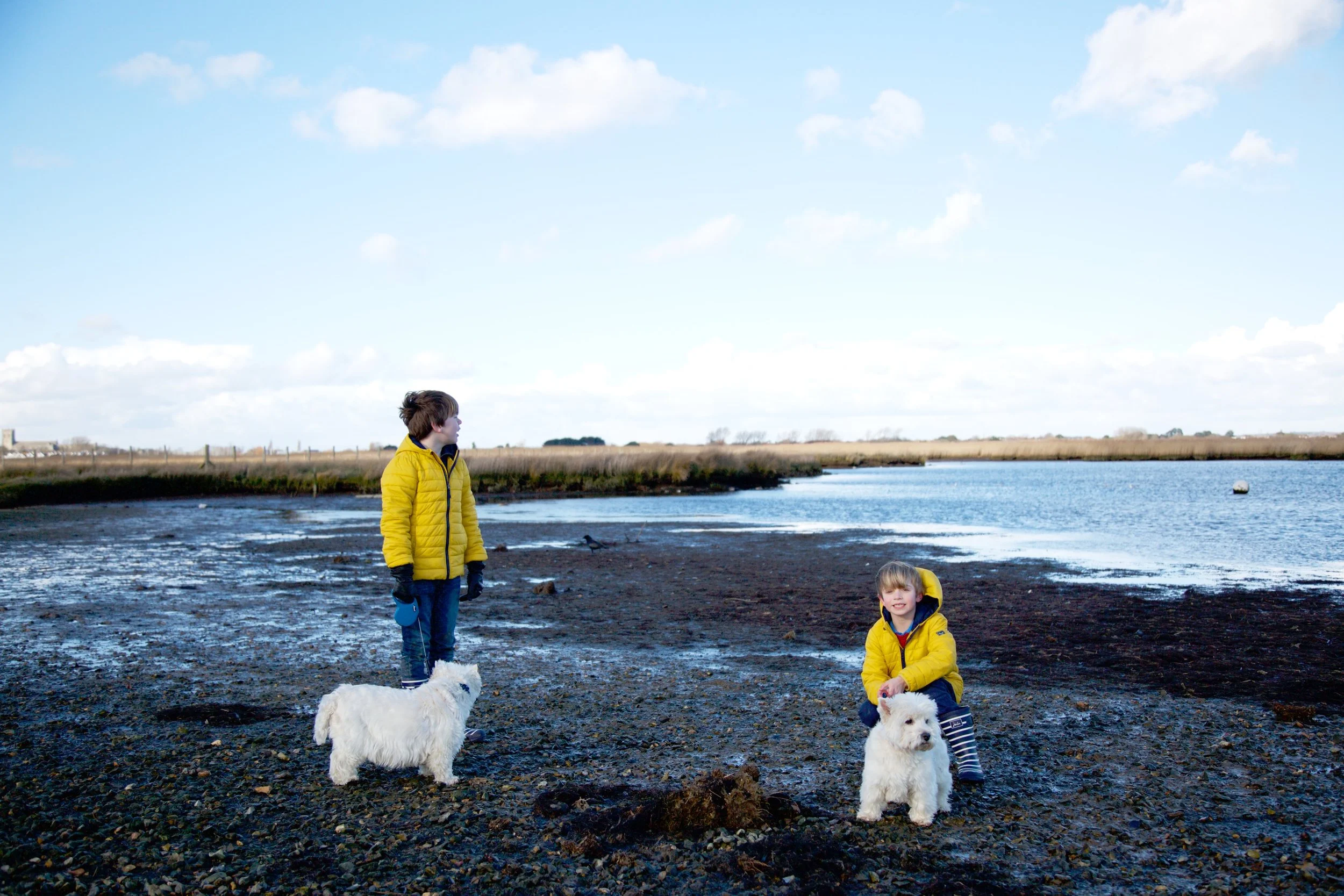 Harringtons Walks on the Wild Side 4.jpg