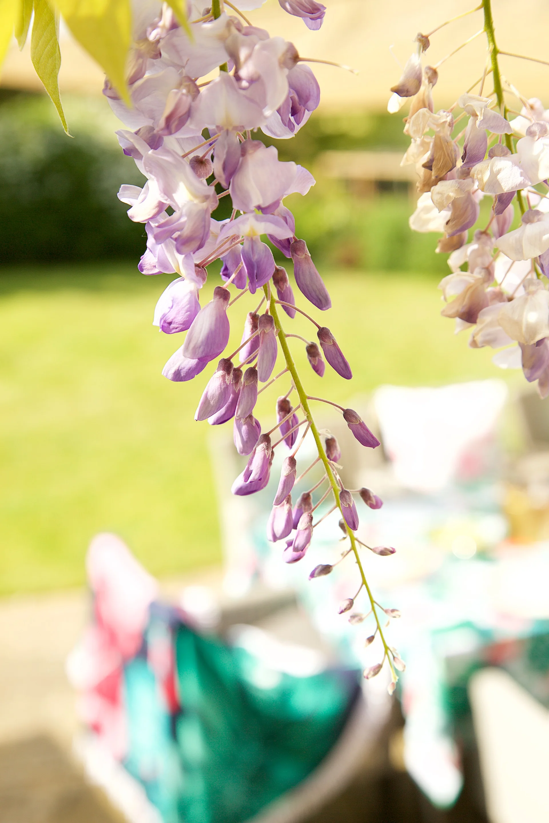 Garden BBQ ideas HomeSense 18.jpg