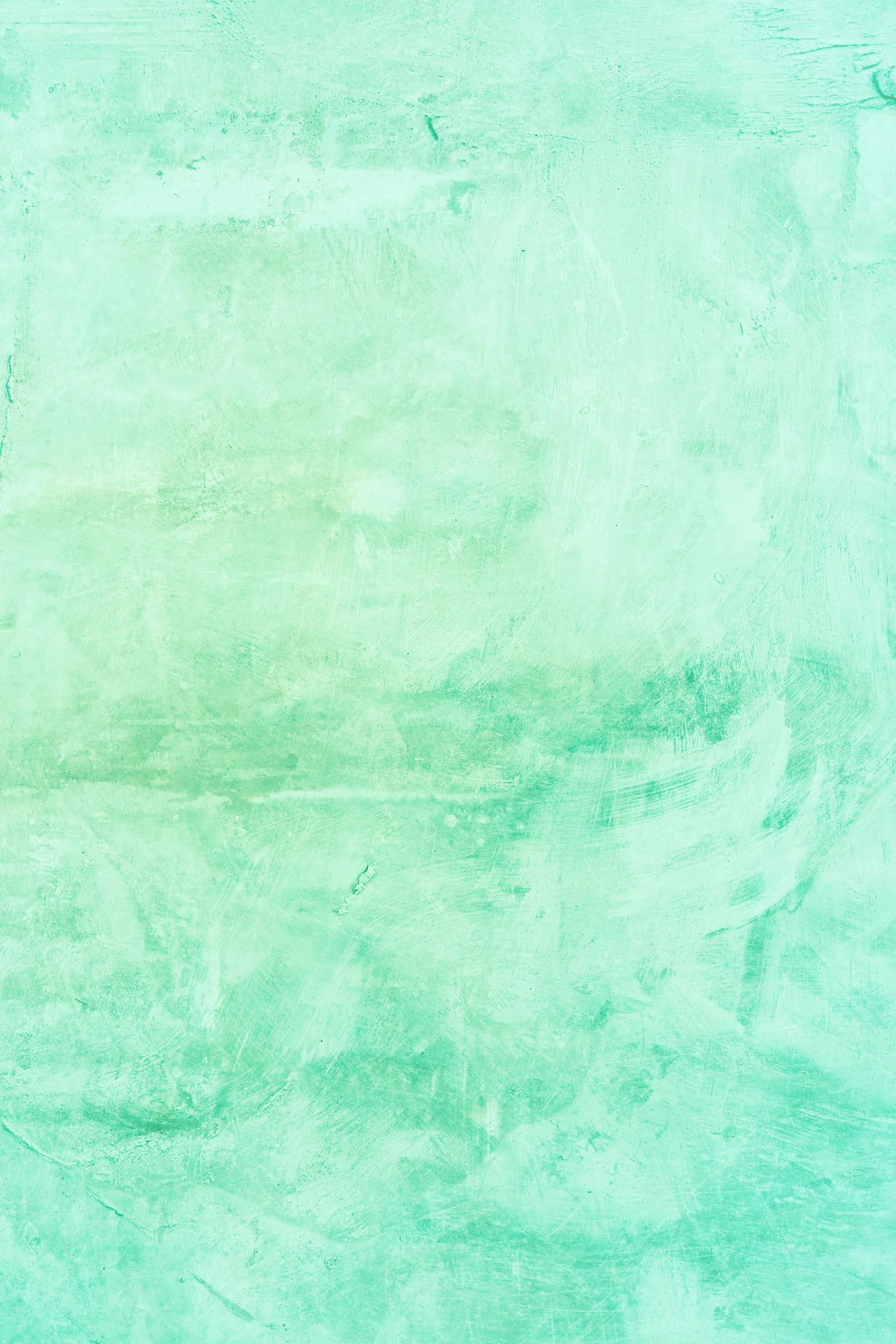 Green photo backdrop.jpg