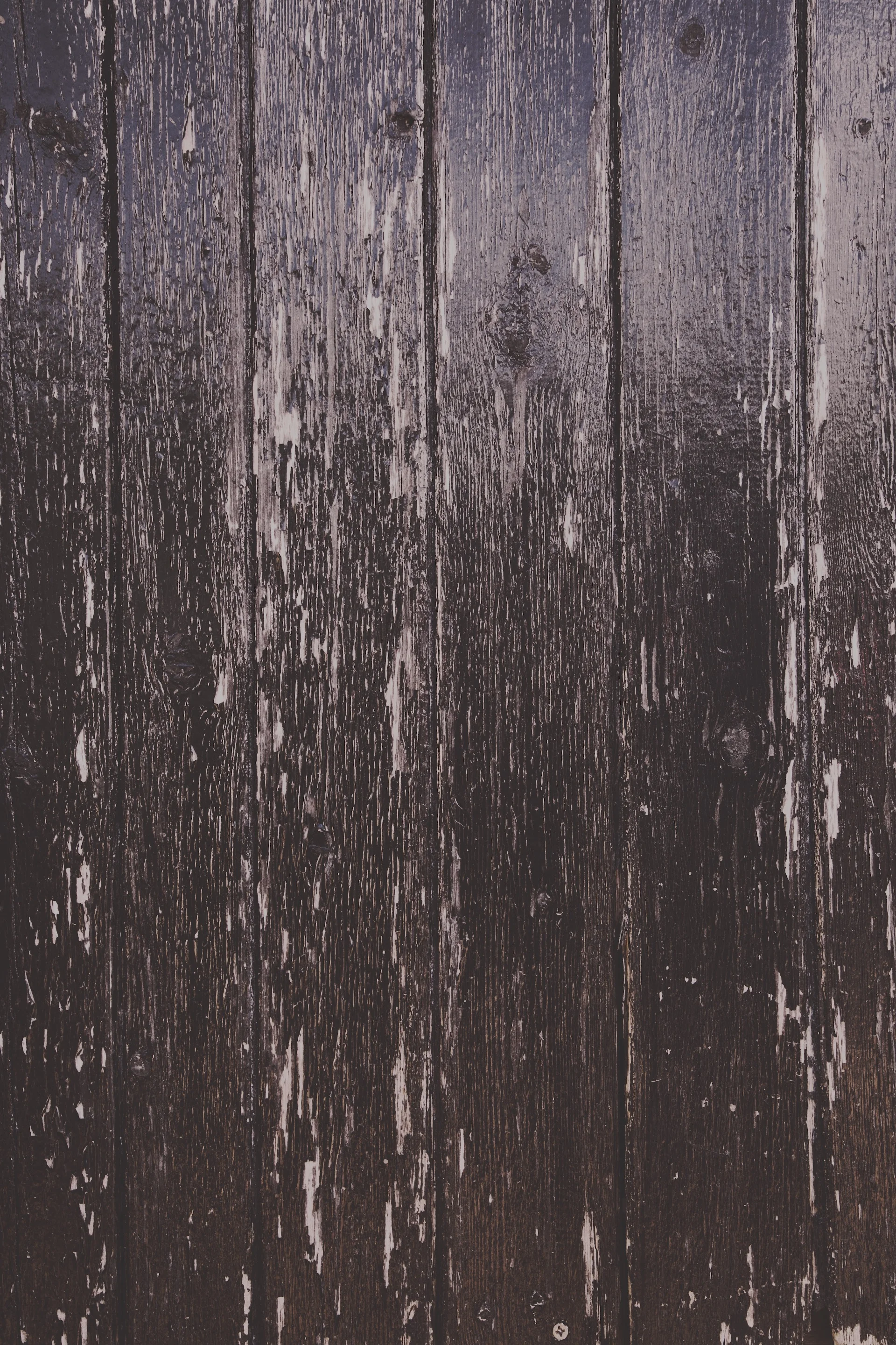 wood floorboards backdrop.jpg
