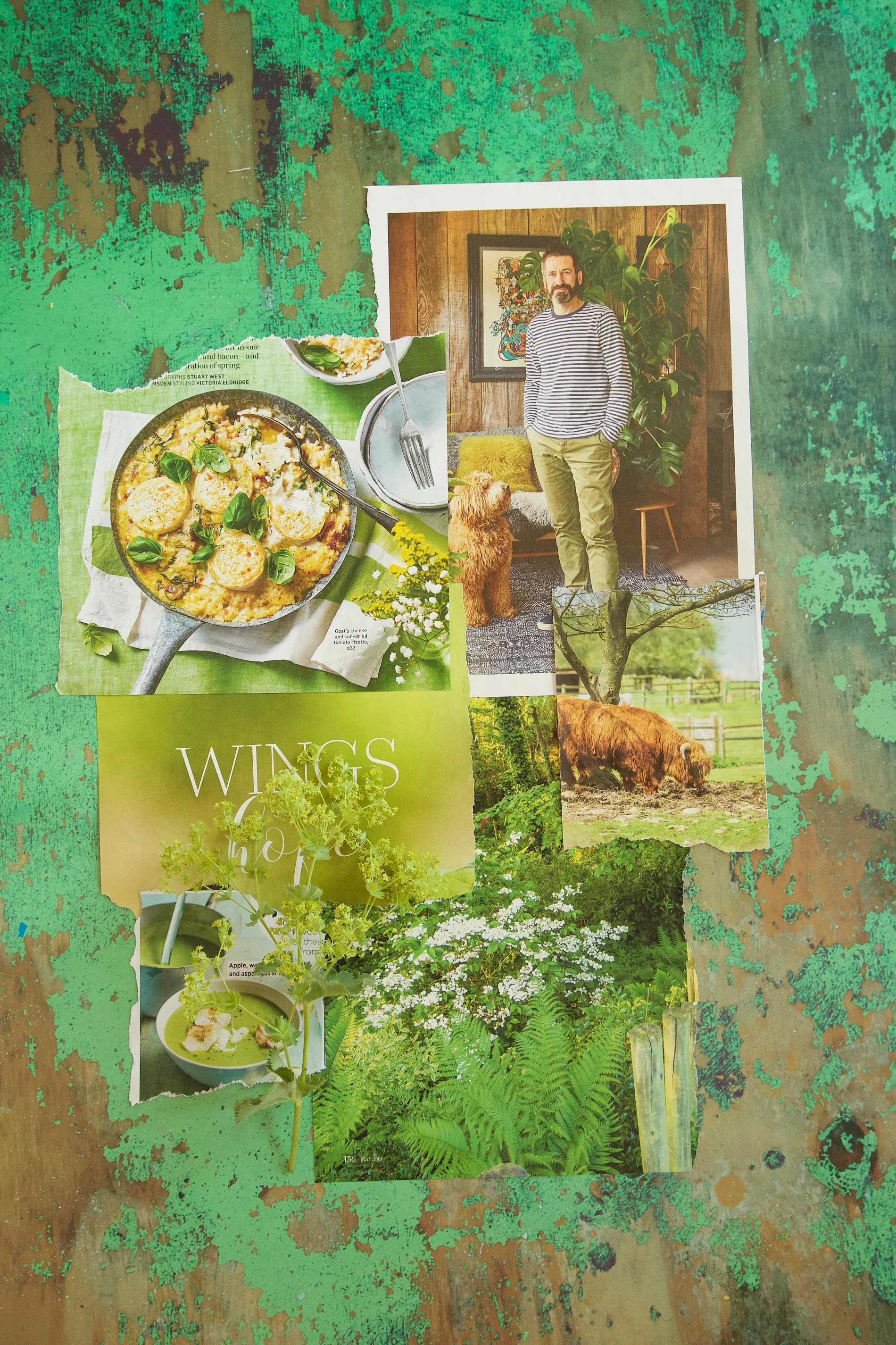 Lime Green Backdrop 1.jpg