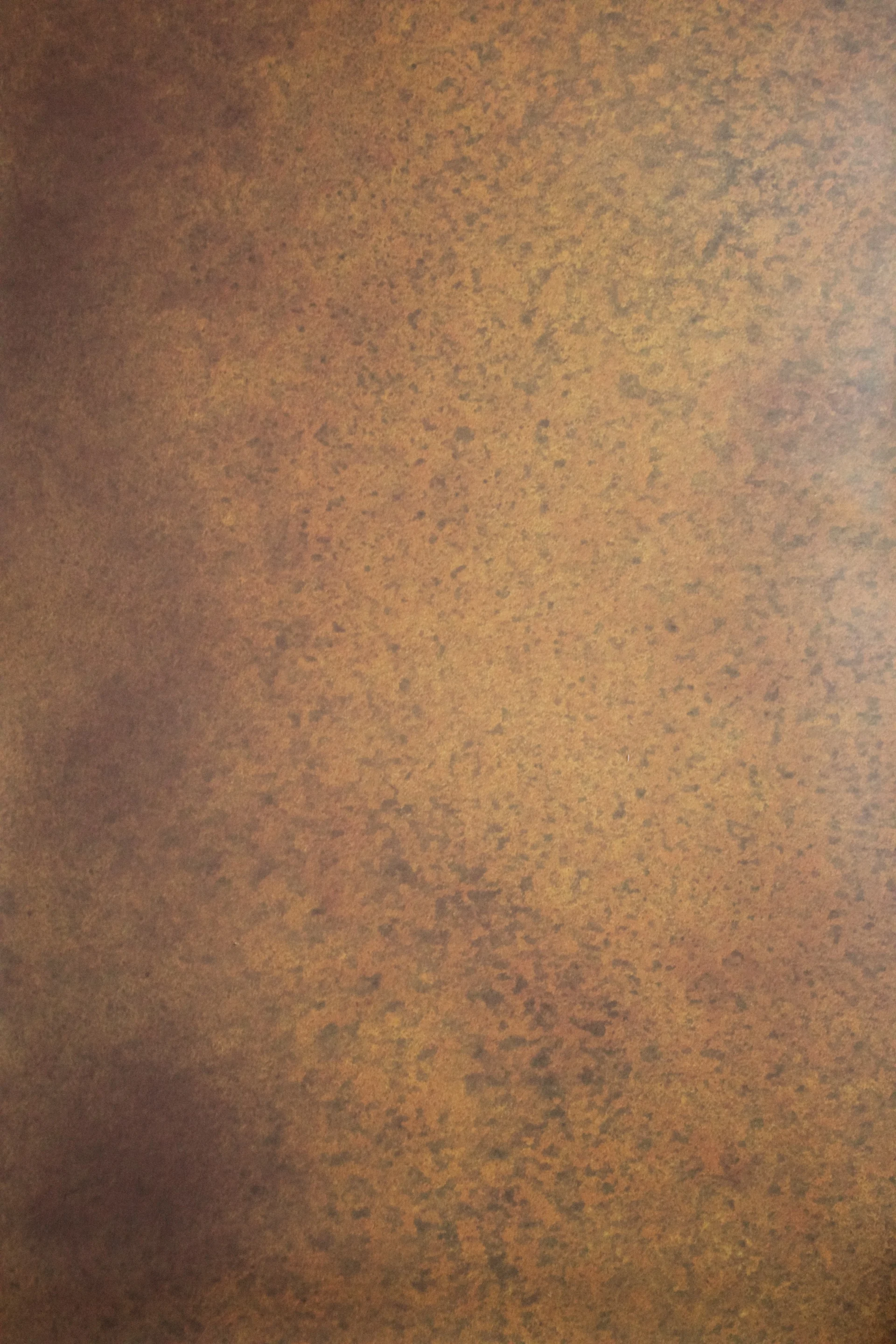 bronze backdrop 3.jpg