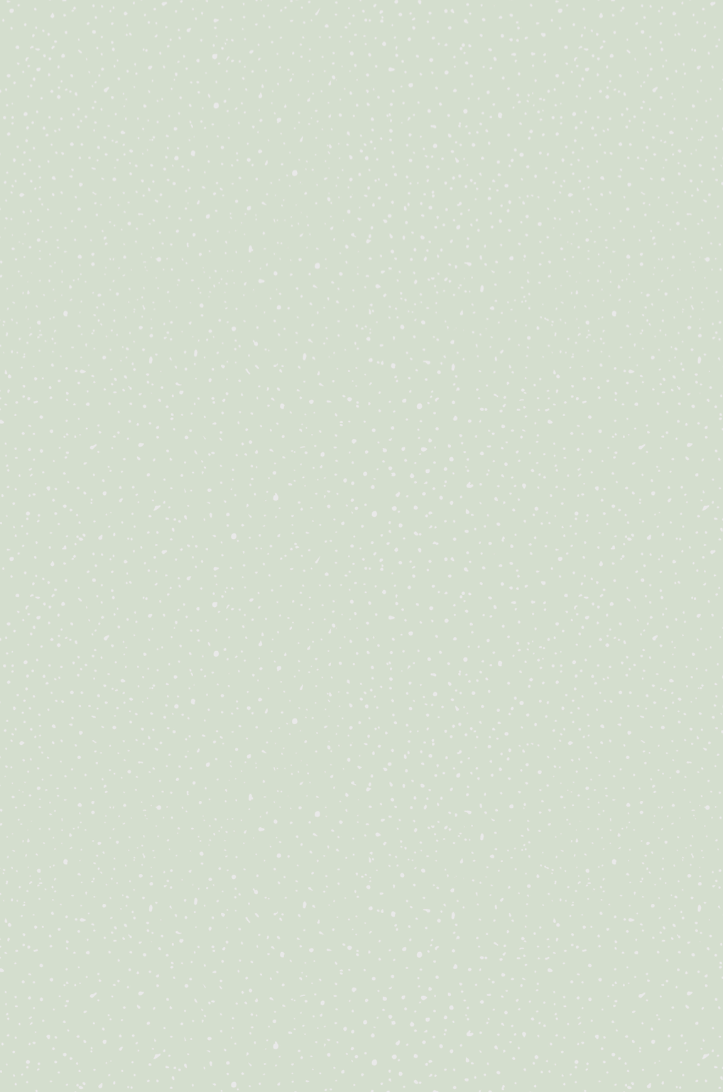 Sage green backdrop.jpg